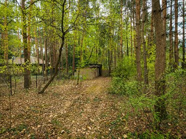 Tu las będzie Twoim sąsiadem|Wizualizacja działka Rosanów, Poprzeczna