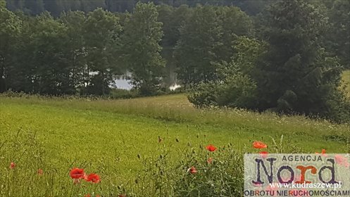 działka na sprzedaż 3200m2 działka Kukowo
