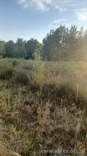 działka na sprzedaż 3725m2 działka Jeziórko