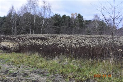 działka na sprzedaż 1071m2 działka Wioska