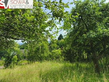 Działka pod lasem z mediami, dojazd asfaltowy (Jedlina-Zdrój) działka Jedlina-Zdrój, Glinica