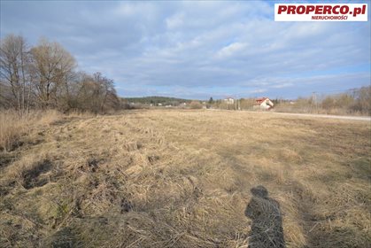 Działka inna pod dzierżawę Chęciny, Sitkówka 7 430m2 Foto 5