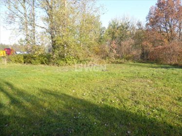 Działka inwestycyjna pod dzierżawę Romanów, Romanów, Romanów 1 000m2 Foto 6