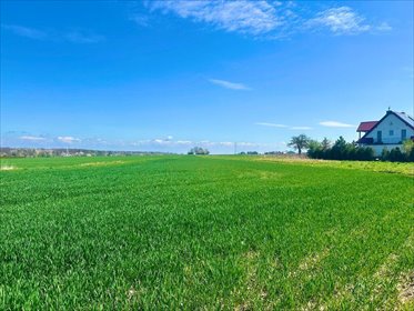 działka na sprzedaż 4545m2 działka Majdan Mętowski