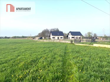 działka na sprzedaż 3189m2 działka Lisi Ogon