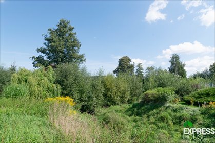 Dom na sprzedaż Złotoryja, Wojska Polskiego 1 516m2 Foto 6