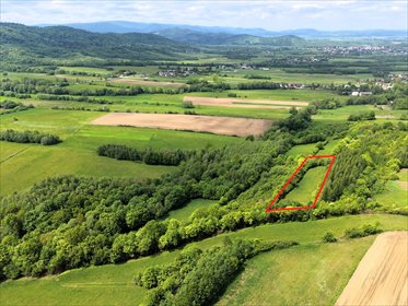 Urokliwa działka 28 ar z prywatnością i naturalnym klimatem działka Stary Żmigród