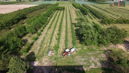 Działka 3,9 ha z potencjałem siedliskowym i rolnym działka Poniatowa-Kolonia
