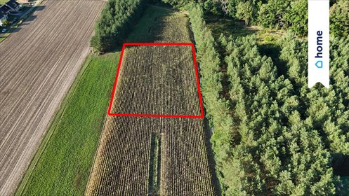 Zapraszam do obejrzenia działki 3400 m² w Siedliskach działka Siedliska