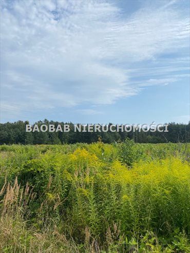 Działka budowlana na sprzedaż Badowo-Dańki, Dębowa 1 102m2 Foto 6