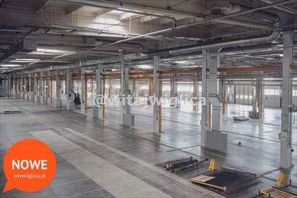 magazyn na wynajem 2000m2 magazyn Wrocław, Psie Pole