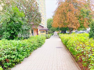 mieszkanie na wynajem 53m2 mieszkanie Warszawa, Mokotów, Mariana Smoluchowskiego