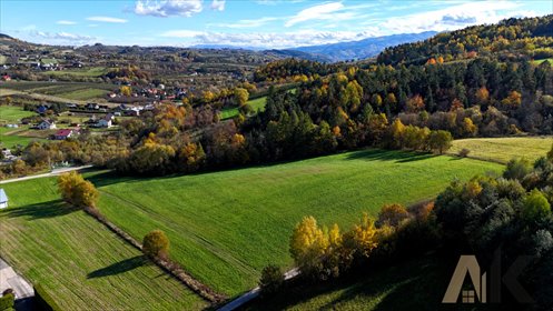 Działka budowlana 10 ar w Zagorzynie, blisko Łącka - polecam! działka Łącko
