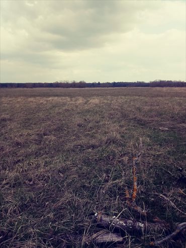 działka na sprzedaż 3219m2 działka Łęgi