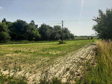 Działka 3000 m² z mediami, pierwsza linia od szosy działka Krężnica Jara