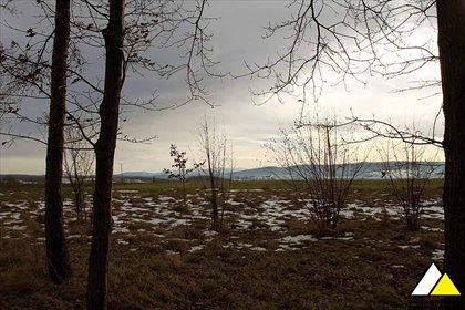 Zapraszam do obejrzenia dużej widokowej działki 7453 m² z budynkami w Bartoszówce działka Bartoszówka