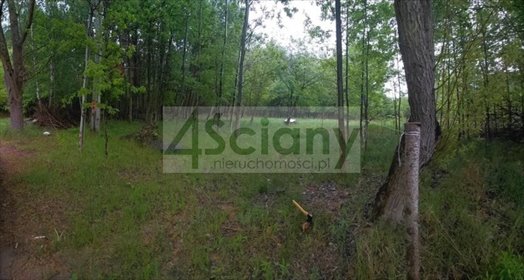 Działka 1100 m² - media, las, spokój, blisko natury działka Stara Wieś