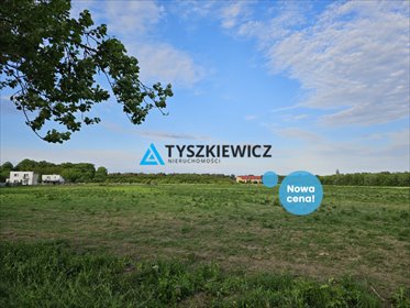 działka na sprzedaż 17777m2 działka Gdynia, Babie Doły, Zielona