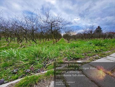 działka na sprzedaż 3000m2 działka Motycz