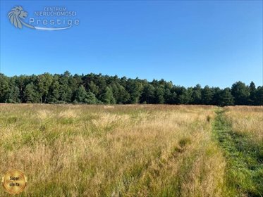 działka na sprzedaż 800m2 działka Kalety