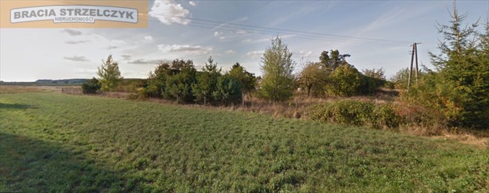 działka na sprzedaż 31100m2 działka Rosocha