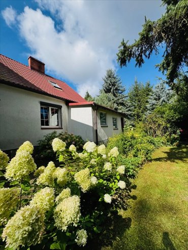 Dom z potencjałem (240 m²) w Brzezinach (3100 m² działki) dom Brzeziny