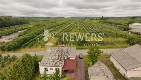 Duży kompleks działek z potencjałem budowlano-rolnym 5,5 ha działka Niesiołowice