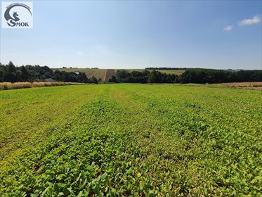 działka na sprzedaż 1590m2 działka Władysław