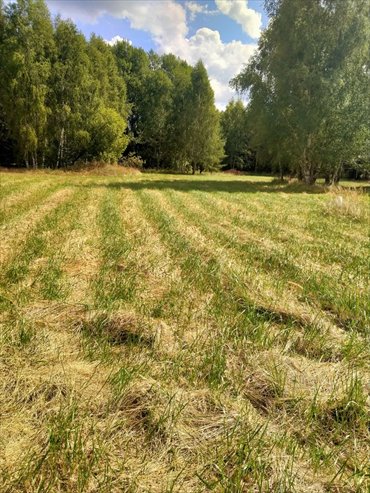 działka na sprzedaż 3179m2 działka Grzepnica