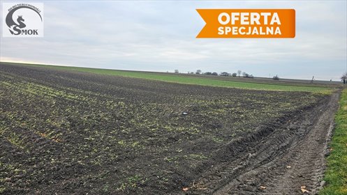 działka na sprzedaż 20000m2 działka Prandocin