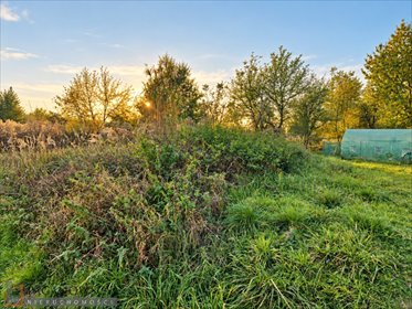 Działka budowlana 899 m² w Owczarach - polecam działka Owczary