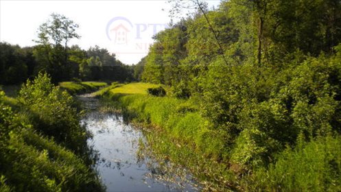 Działka inwestycyjna na sprzedaż Aleksandrów 81 000m2 Foto 5