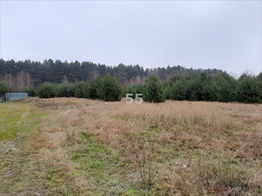 działka na sprzedaż Świerczyna 1138 m2