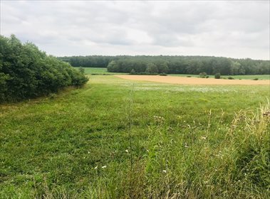 Działka budowlana na sprzedaż Siodłkowice 2 640m2 Foto 3