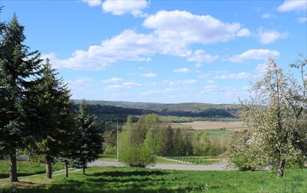 Zapraszam do obejrzenia działki 2008 m² z pięknym widokiem działka Skrzynka