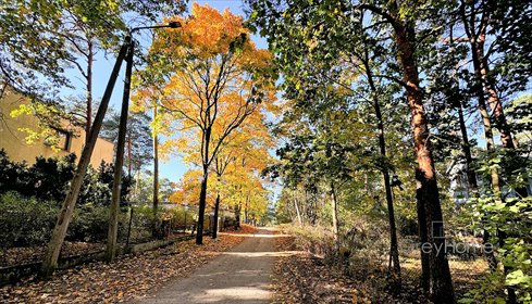 działka na sprzedaż 4462m2 działka Otwock, Otwock