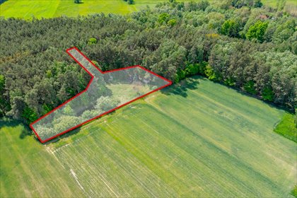Do sprzedania działka 2300 m² z stawem i domkiem w Górach Prusinowskich działka Góry Prusinowskie