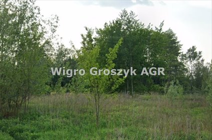 działka na sprzedaż 1332m2 działka Izabelin-Dziekanówek