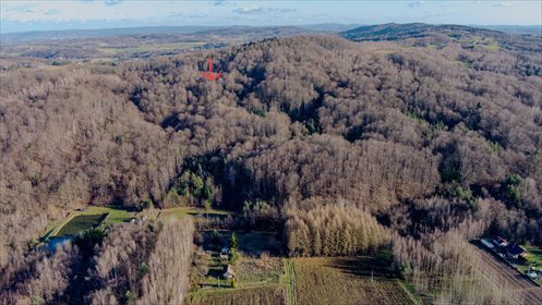 działka na sprzedaż 2800m2 działka Zalasowa