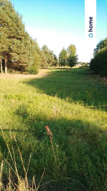 działka na sprzedaż 2500m2 działka Jełowa, Opolska