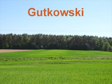 działka na sprzedaż 16200m2 działka Ławice, Gmina Iława