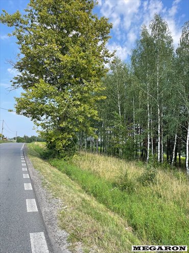 Działka rolna 3906 m² w Wancerzowie - polecam działka Wancerzów