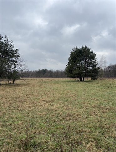 działka na sprzedaż 3200m2 działka Przeginia Narodowa