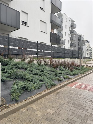 mieszkanie na wynajem 49m2 mieszkanie Poznań, Naramowice, Błażeja