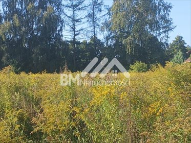 działka na sprzedaż 2280m2 działka Opypy