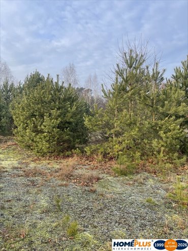 Działka 2050 m² pod zabudowę letniskową i pensjonatową działka Józefów