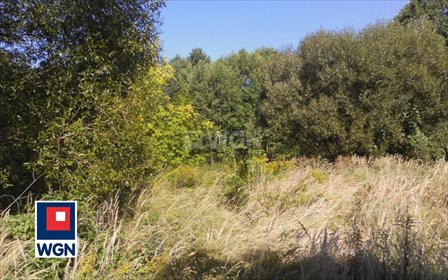 Na sprzedaż działka 15 740 m² w Szarlejce z możliwością zabudowy działka Szarlejka, Łukasiewicza, Łukasiewicza