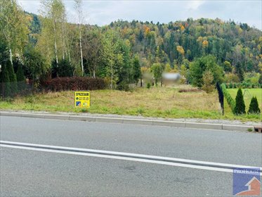 działka na sprzedaż 3837m2 działka Kamienica