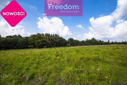 Działka budowlana na sprzedaż Wólka Hyżneńska 3 032m2 Foto 6