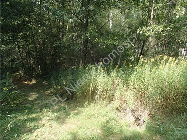 Działka rolna na sprzedaż Osęczyzna 2 200m2 Foto 3
